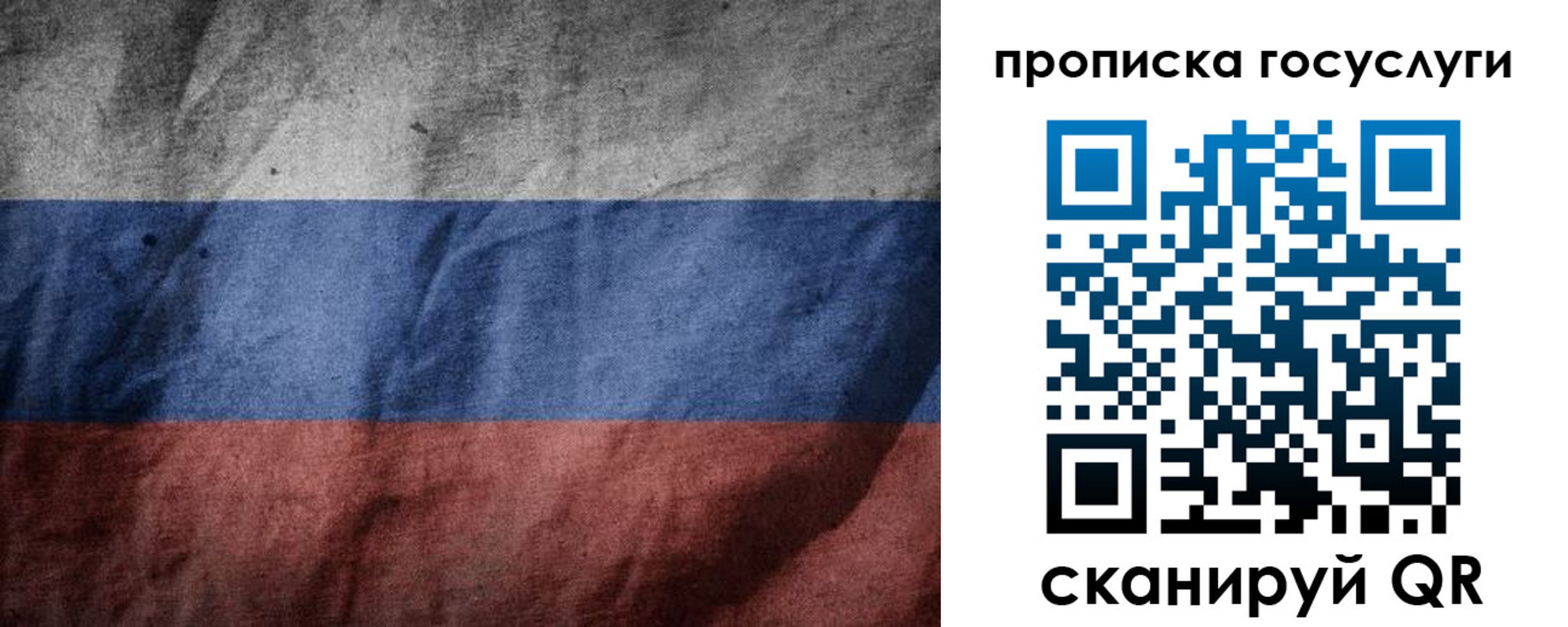 прописка поиск в Выборге